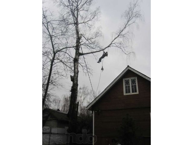 Валка опасных, аварийных деревьев  частями. в городе Павловский Посад, фото 1, Другое