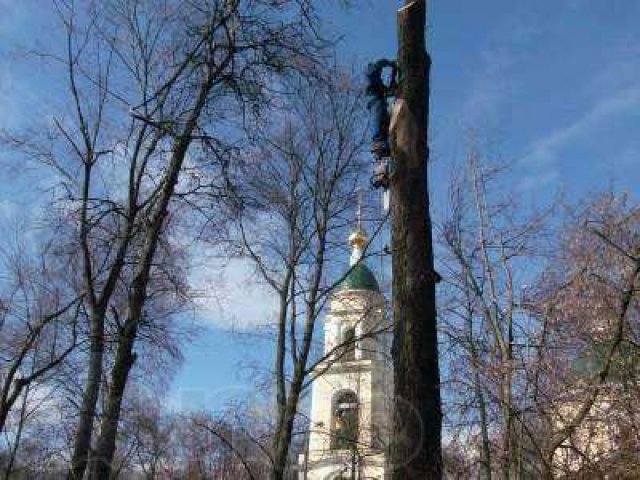 Высотные работы. в городе Калининград, фото 2, стоимость: 0 руб.