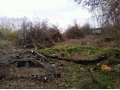 Удаление деревьев в городе Тамбов, фото 4, Тамбовская область