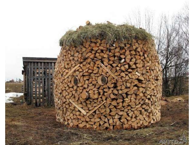 спил и обрезка деревьев в городе Ростов-на-Дону, фото 4, стоимость: 0 руб.