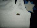 Продам новые майки lacoste. в городе Владимир, фото 5, стоимость: 850 руб.