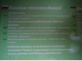 Бандаж новый послеродовой ФЭСТ 1249 в городе Омск, фото 3, Одежда для беременных