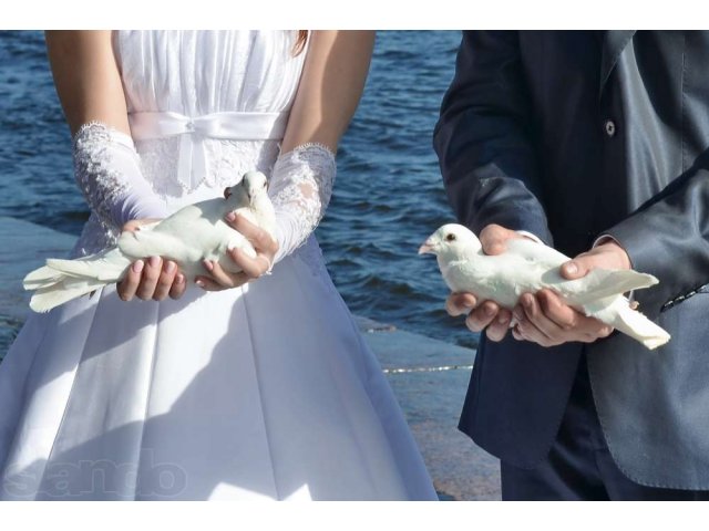 Свадебное платье)))Ура свадьба в городе Санкт-Петербург, фото 7, Свадебные платья