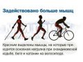 Езда на велосипеде какие мышцы задействованы фото