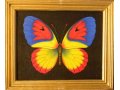 Экспозиционное количество бабочек-картин в городе Анапа, фото 5, стоимость: 3 000 руб.
