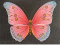 Экспозиционное количество бабочек-картин в городе Анапа, фото 8, стоимость: 3 000 руб.