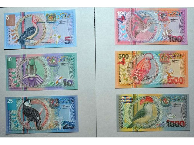 Набор из 6 банкнот Суринама - птицы и цветы в городе Барнаул, фото 1, Другое