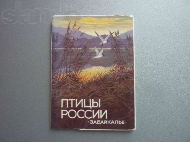 Продам набор открыток Птицы России. Забайкалье в городе Петрозаводск, фото 1, Другое