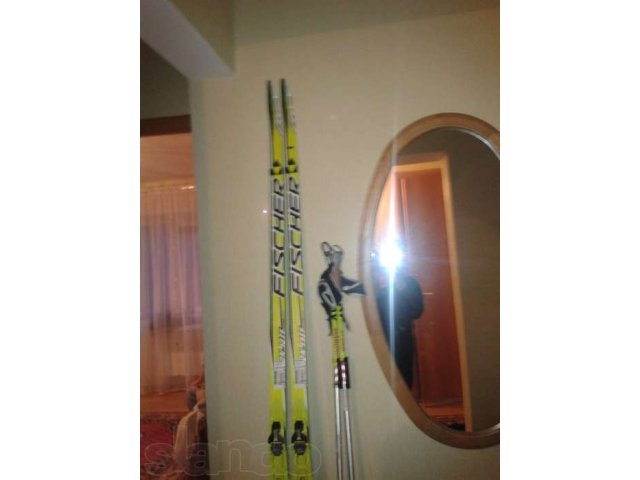 Продам лыжи фирмы Fisher carbon CL COLD NIS RASING. в городе Иркутск, фото 1, стоимость: 7 000 руб.
