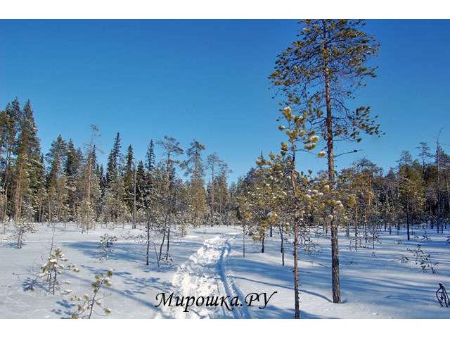 Праздник весны - 8 Марта - в Карелии! в городе Санкт-Петербург, фото 8, Ленинградская область