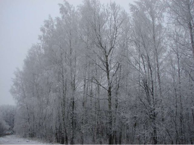 Баня на дачах в аренду с доставкой. в городе Железногорск, фото 3, Охота, рыбалка, активный отдых