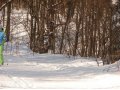 Баня на дачах в аренду с доставкой. в городе Железногорск, фото 2, стоимость: 200 руб.