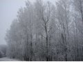 Баня на дачах в аренду с доставкой. в городе Железногорск, фото 3, Охота, рыбалка, активный отдых