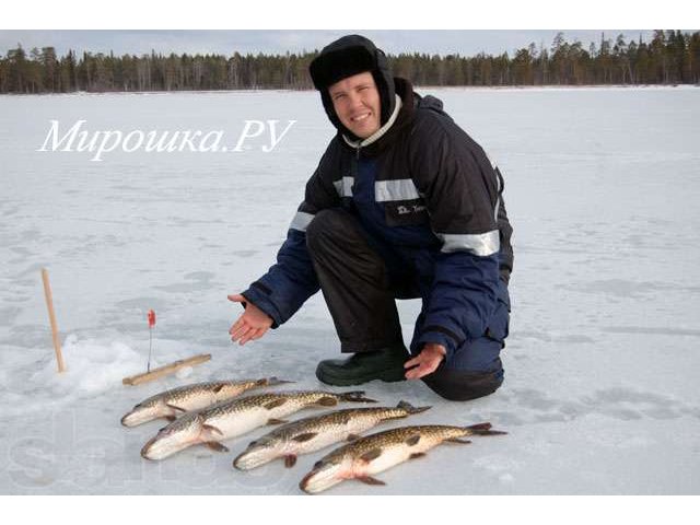 Снегоходные туры в Карелию 2013. в городе Москва, фото 3, Охота, рыбалка, активный отдых