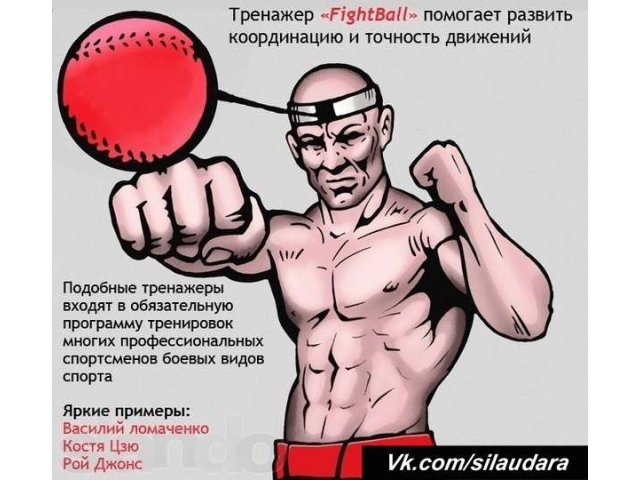 Спортивный тренажер Боевой мяч (Fight ball) в городе Екатеринбург, фото 1, стоимость: 590 руб.