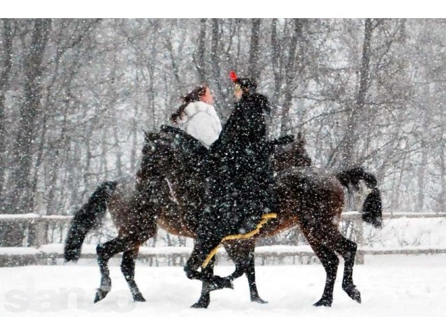 Акция от КТГ Альфа! в городе Тверь, фото 3, стоимость: 1 400 руб.