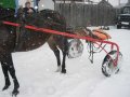 Качалка со сбруей в городе Елабуга, фото 1, Татарстан