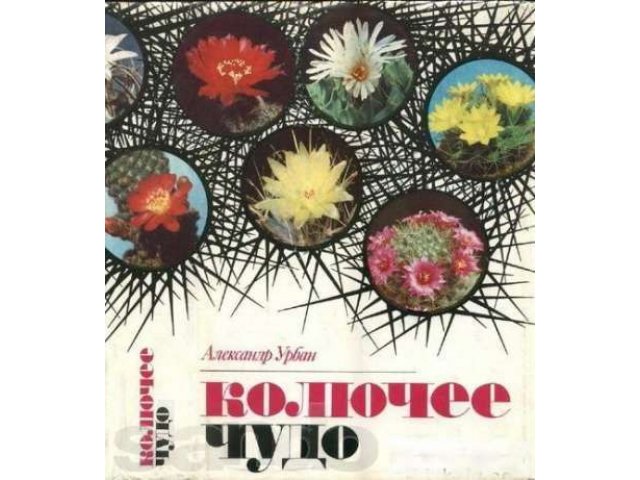 А.Урбан Колючее чудо в городе Новосибирск, фото 1, стоимость: 800 руб.