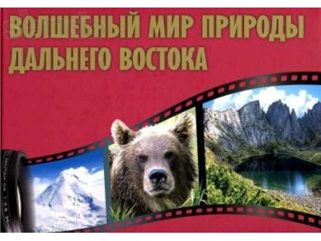 Фотоальбом И.Б. Ольховского Волшебный мир природы Дальнего Востока в городе Хабаровск, фото 1, стоимость: 2 000 руб.