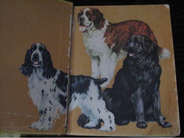 Книга Ваша собака в городе Ставрополь, фото 2, стоимость: 200 руб.