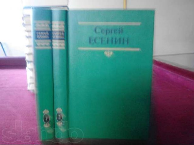 Сергей Есенин в городе Микунь, фото 1, Художественная литература