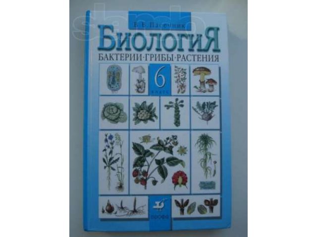 Продаю Учебники 6 класс в городе Курган, фото 1, стоимость: 150 руб.