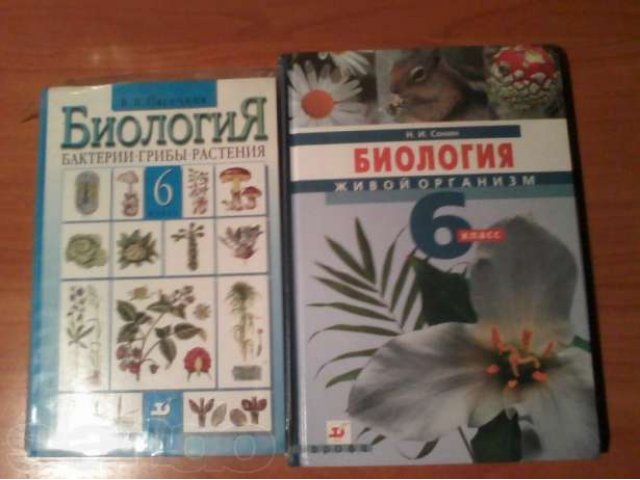 Продам учебники за 6 класс в отличном состоянии. в городе Братск, фото 3, Учебная литература