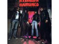 Группа RAMONES - 12 альбомов на 6 CD дисках с буклетами в городе Озерск, фото 4, Калининградская область