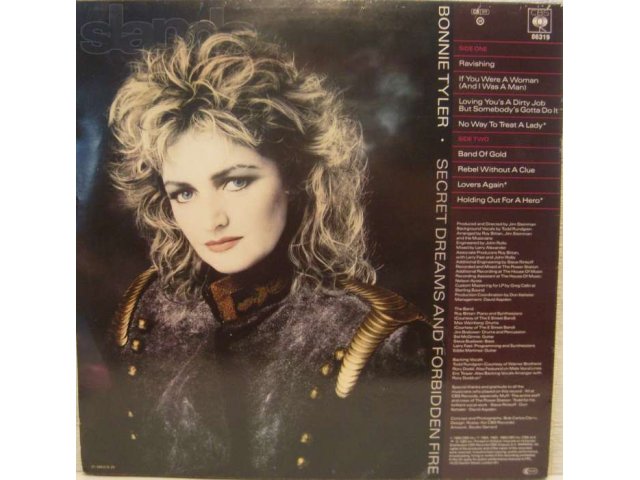 Пластинка  Bonnie Tyler  в городе Озерск, фото 2, Музыка