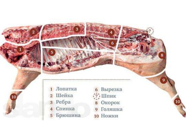 Говядина, свинина, баранина, субпродукты, птица,глубокой заморозки опт в городе Питкяранта, фото 1, стоимость: 0 руб.