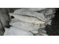 Рыба Муксун морской (1.3-2 кг.) свежемороженная оптом от 10 тн. в городе Оренбург, фото 1, Оренбургская область
