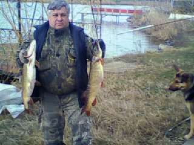 продаю прудовую рыбу в городе Минеральные Воды, фото 3, стоимость: 0 руб.