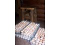 Деревенские ПРОДУКТЫ: Куры, цыплята, перепела, диетическое яйцо в городе Мытищи, фото 6, Мясо и рыба