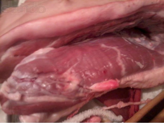 Мясо свинина полутуши в городе Венев, фото 2, Тульская область