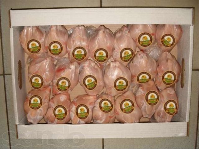 Цыплята корнишоны 350+ гр в городе Мытищи, фото 1, стоимость: 0 руб.