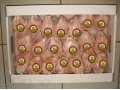 Цыплята корнишоны 350+ гр в городе Мытищи, фото 1, Московская область