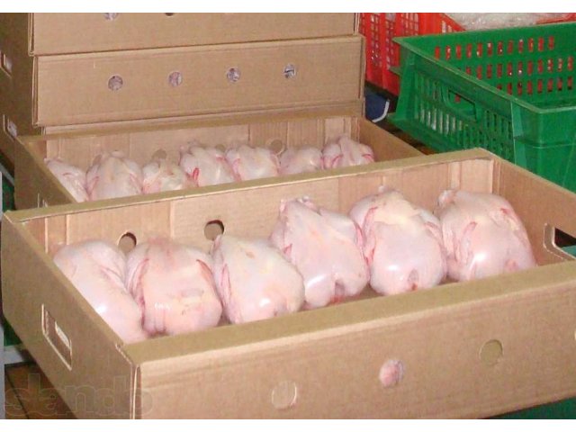 Цыплята корнишоны 650+ гр в городе Мытищи, фото 1, стоимость: 0 руб.