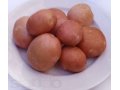 Продаем Высококачественный семенной картофель в городе Воронеж, фото 1, Воронежская область