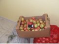 яблоки оптом в городе Батайск, фото 1, Ростовская область