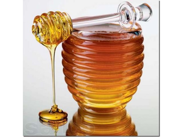 Продам мед в городе Воронеж, фото 1, стоимость: 0 руб.