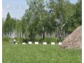 Мед таежный, муромцевский в городе Омск, фото 1, Омская область