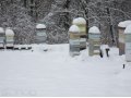 Цветочный, донниковый и гречишный мед в городе Стерлитамак, фото 2, стоимость: 0 руб.