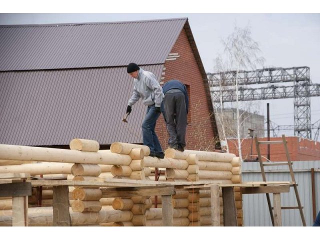 продам оцилиндрованное бревно в городе Новосибирск, фото 3, стоимость: 0 руб.