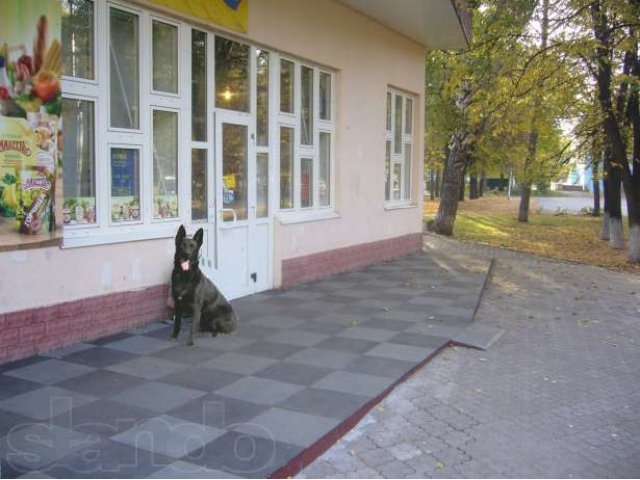 Противоскользящие напольные резиновые покрытия в городе Уфа, фото 3, стоимость: 0 руб.