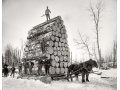 Продам дрова твердых пород. в городе Калининград, фото 1, Калининградская область