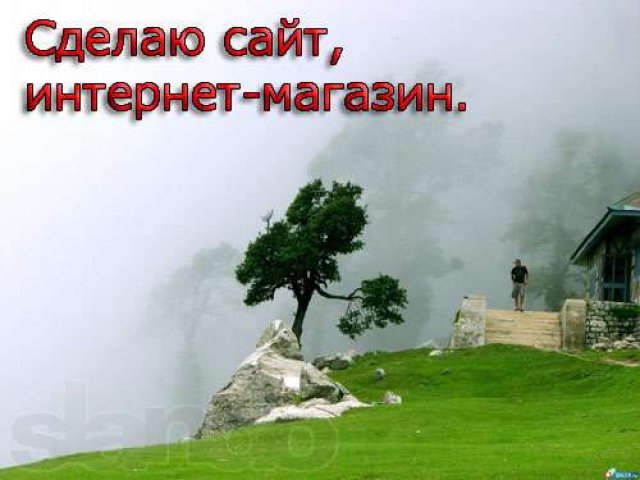 Сделаю сайт, интернет-магазин в городе Омск, фото 1, стоимость: 3 000 руб.