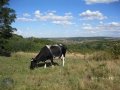 Продается действующее сельхозпредприятие в 40 км.от Краснодара в городе Краснодар, фото 1, Краснодарский край