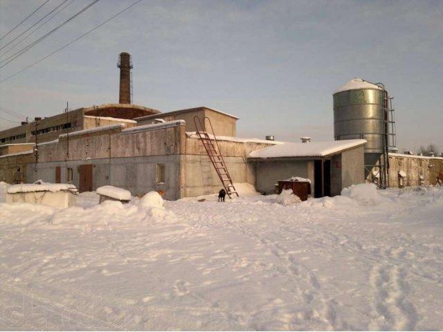 Птицефабрика в городе Всеволожск, фото 1, Предприятия и заводы