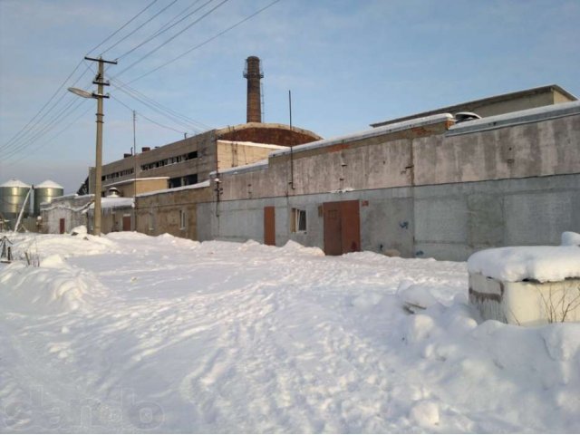 Птицефабрика в городе Всеволожск, фото 2, Ленинградская область