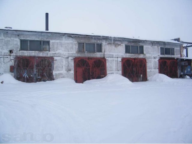 продуктовый магазин в городе Бийск, фото 5, Алтайский край